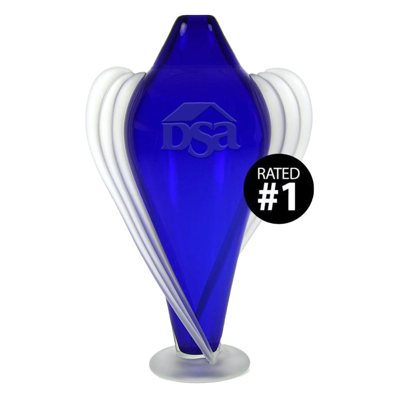 US DSA Partner of the Year