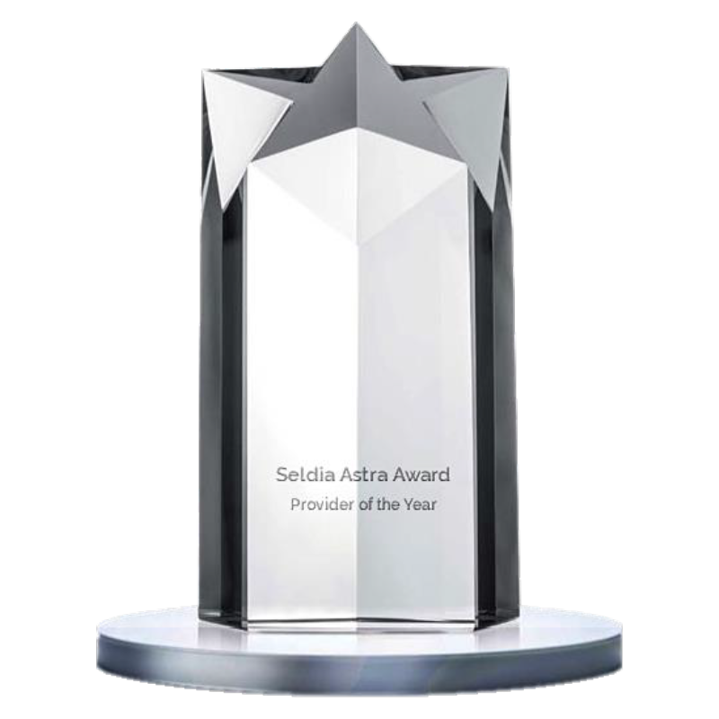 Proveedor del Año de Seldia
